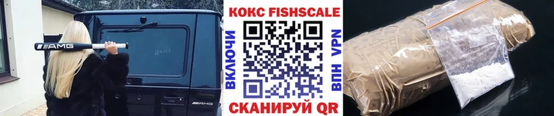 Кокаин FishScale  продажа наркотиков  Лермонтов 