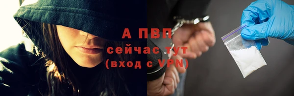 крисы Осташков