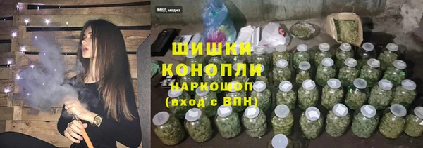 дурь Пестово