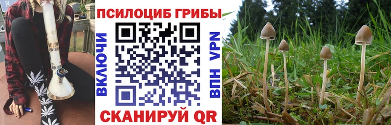 Галлюциногенные грибы MAGIC MUSHROOMS  дарнет шоп  гидра зеркало  Лермонтов 